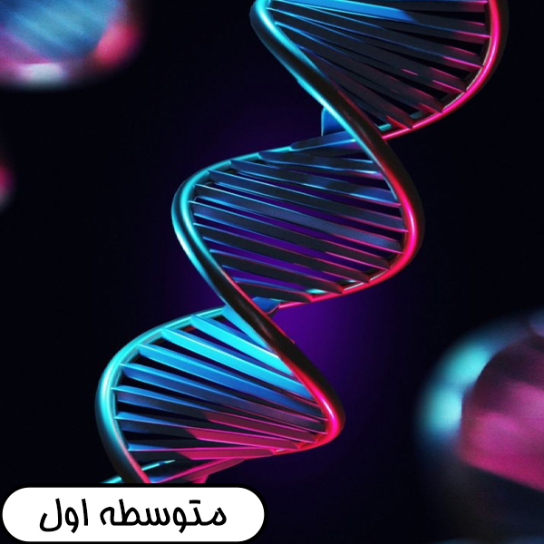 متوسطه اول